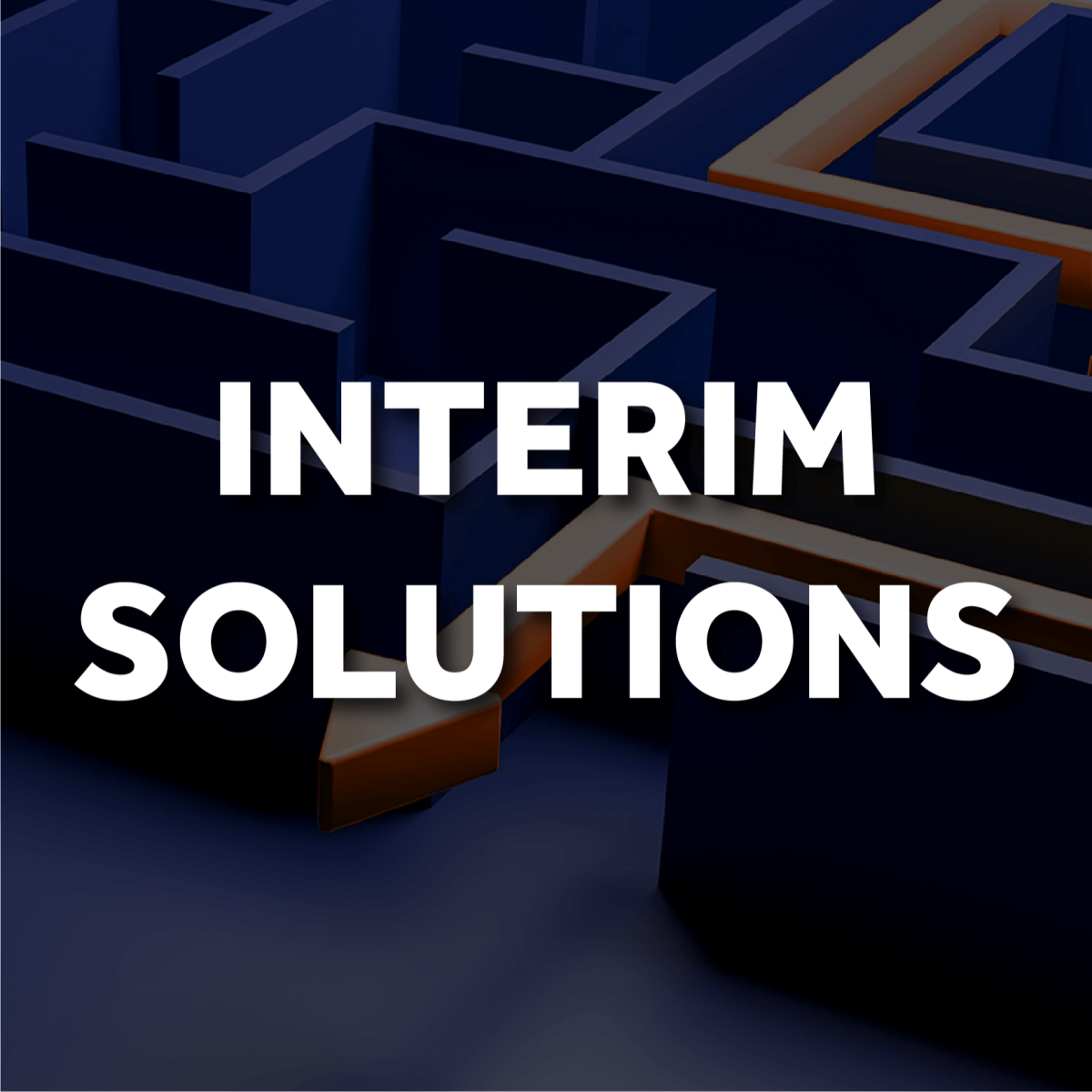 Interim & Consulting Solutions