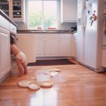 Consumer and Automotive Products