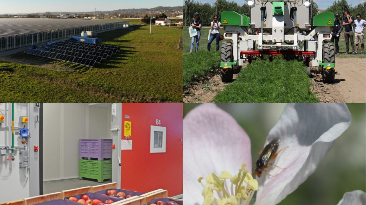 Masterclass - Programmes opérationnels fruits et légumes : une opportunité de développer et financer l’expérimentation et l’innovation