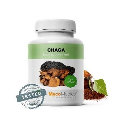 Chaga