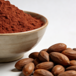 Grand Torreya Seed Extract