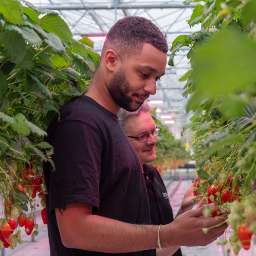 Accompagnement photobiologique