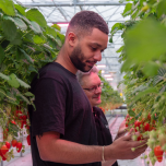 Accompagnement photobiologique