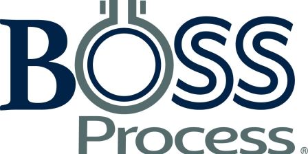 Boss Process
