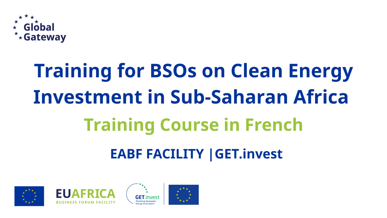 #3 Training for BSOs on Clean Energy Investment in Sub-Saharan Africa: #3 Du projet à la signature du financement
