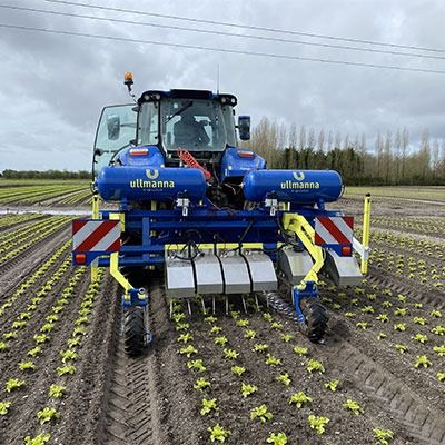 Bineuse intelligente inter-plants ULLMANNA