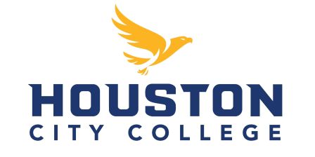 Houston City College