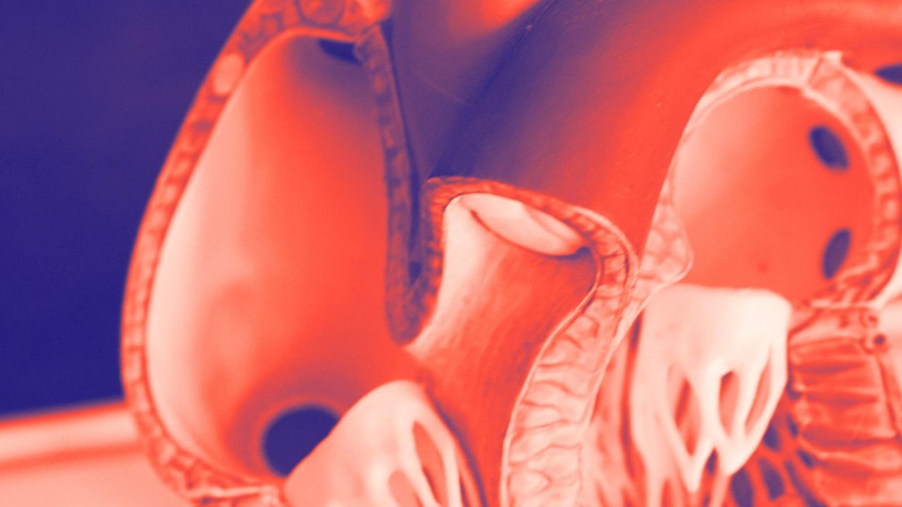 Der neue Dtx-Business Case: Warum und wie sich internationale Digital-Health-Lösungen rechnen