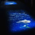 Un viaggio nella poesia