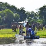11-Day Safari: Murchison Falls, Chimp Trekking & Gorilla from $4210