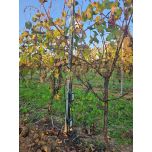 Suivi Irrigation prêt à l'emploi