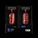 Octopus (Octopus Djinda)