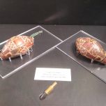 Un viaggio nell'archeologia