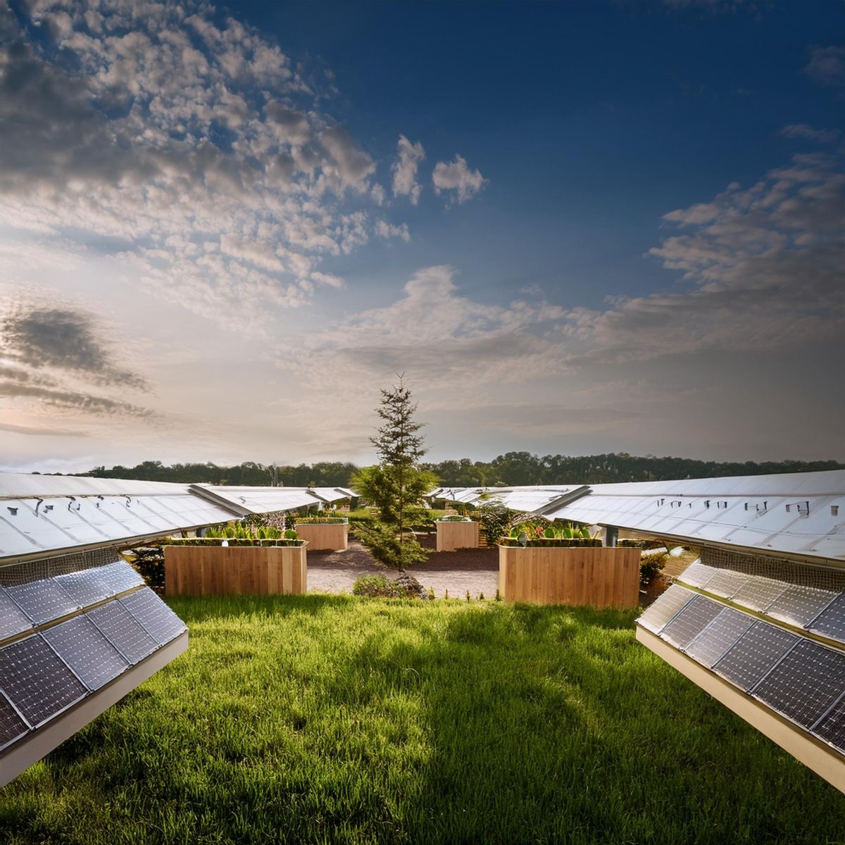 Principles of Environmental Management