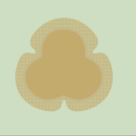 Polyurethane foam dressing