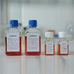 Cell Culture Media Aseptic Filling Line