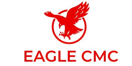 Anqiu Eagle Cellulose Co., Ltd