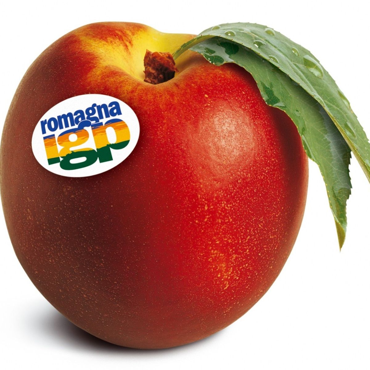 Nettarina di Romagna IGP