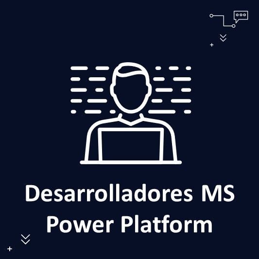 Desarrollador/ra MS Power Platform