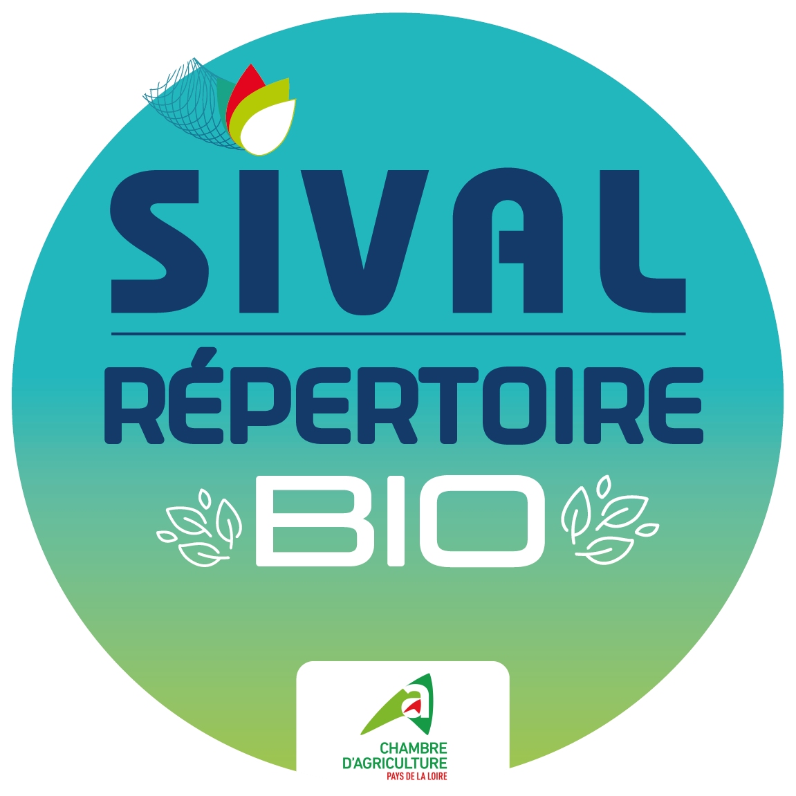 Formations : réseaux sociaux, optimiser sa communication, découvrir les produits biologiques