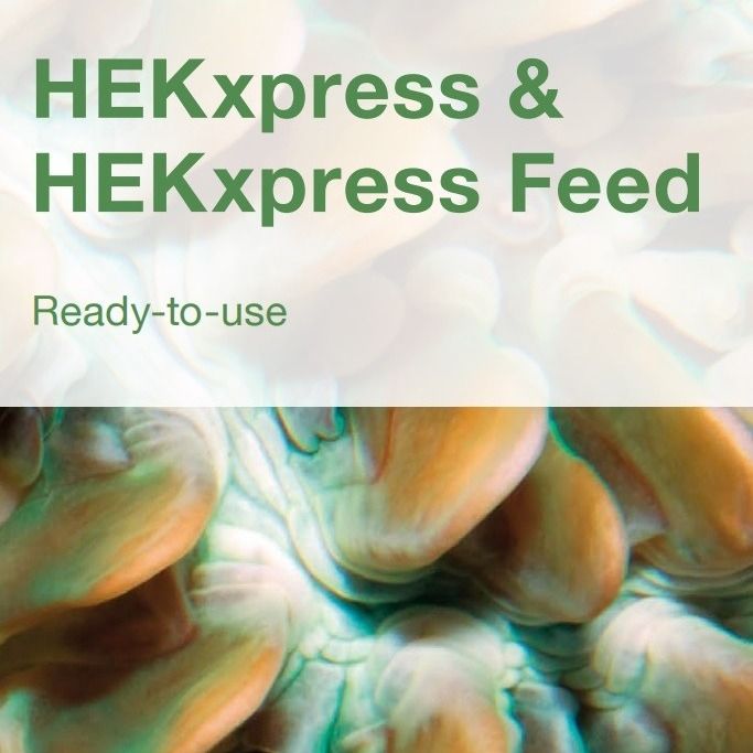 HEKxpress Media & HEKxpress Feed for HEK293 and other human cell lines