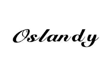 Guangzhou Oslandy Leather Co., Ltd