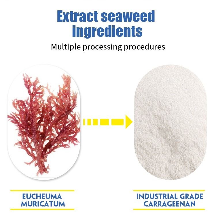 Carrageenan