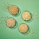 Ingenient Inclusions™