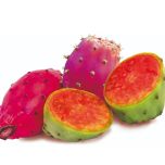 Cactinea : Detox your body