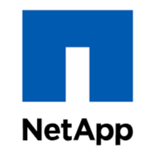 AI is a generational transforming technology, but there are boundary considerations