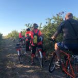 Delta a pedali - Alla scoperta del Parco del Delta del Po in bicicletta!