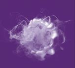 API Processing portfolio