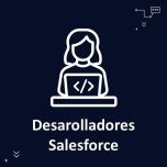Salesforce Developer
