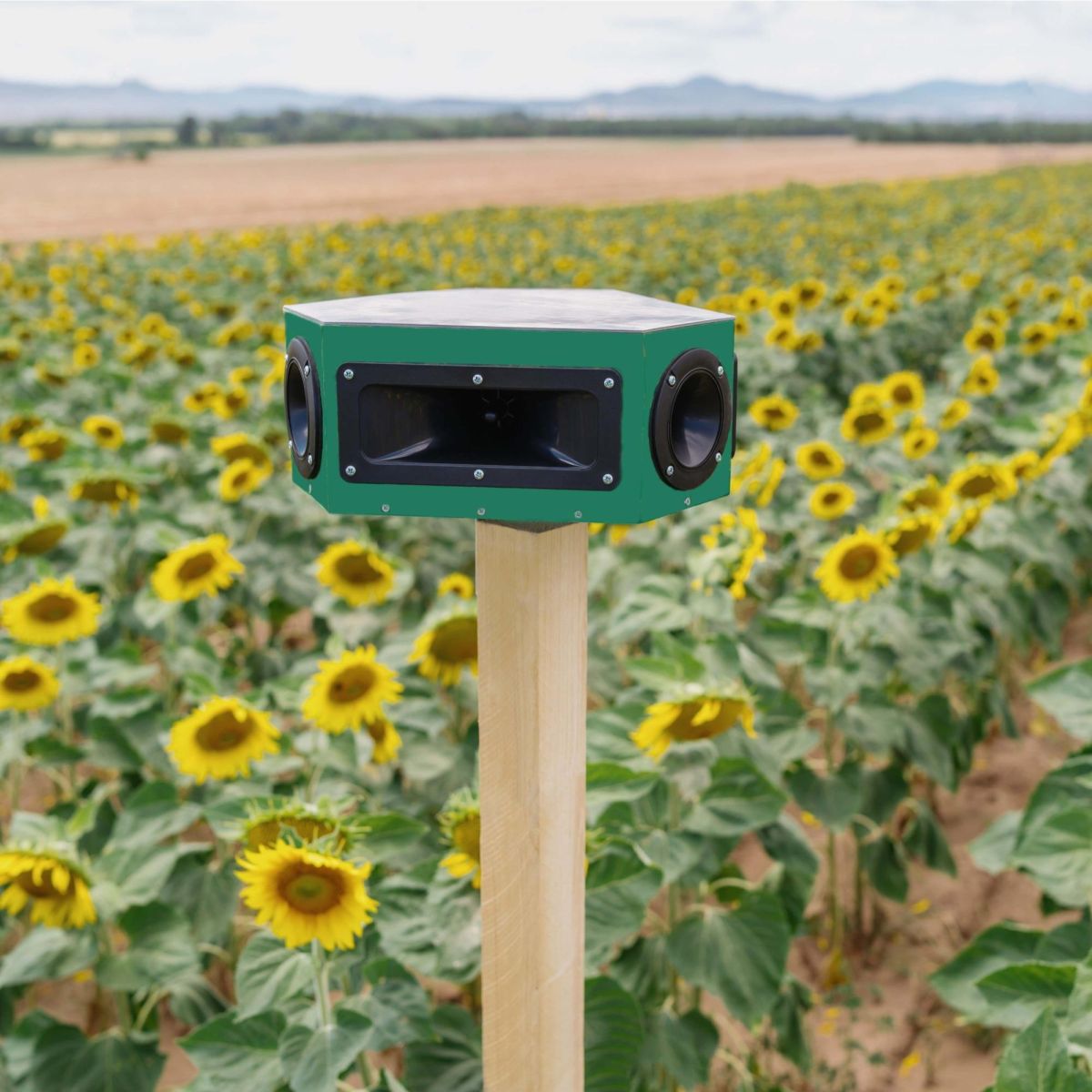 Effaroucheur pour oiseaux nuisibles