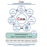 Ciprofloxacin HCL/Base API | Form: API Powder | CAS : 93107-08-5 | Grade: IP/BP/USP | | Purity: 100%