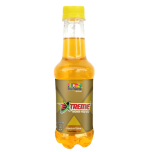 Fruiticana Extreme Carbonated Stimulant Drink 330 ml - Fruiticana Foods