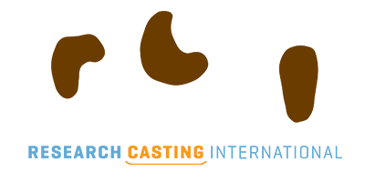 Research Casting International