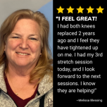 Free 4-Part Video Series: How to Profit from Stretch Therapy in Your Gym or Business