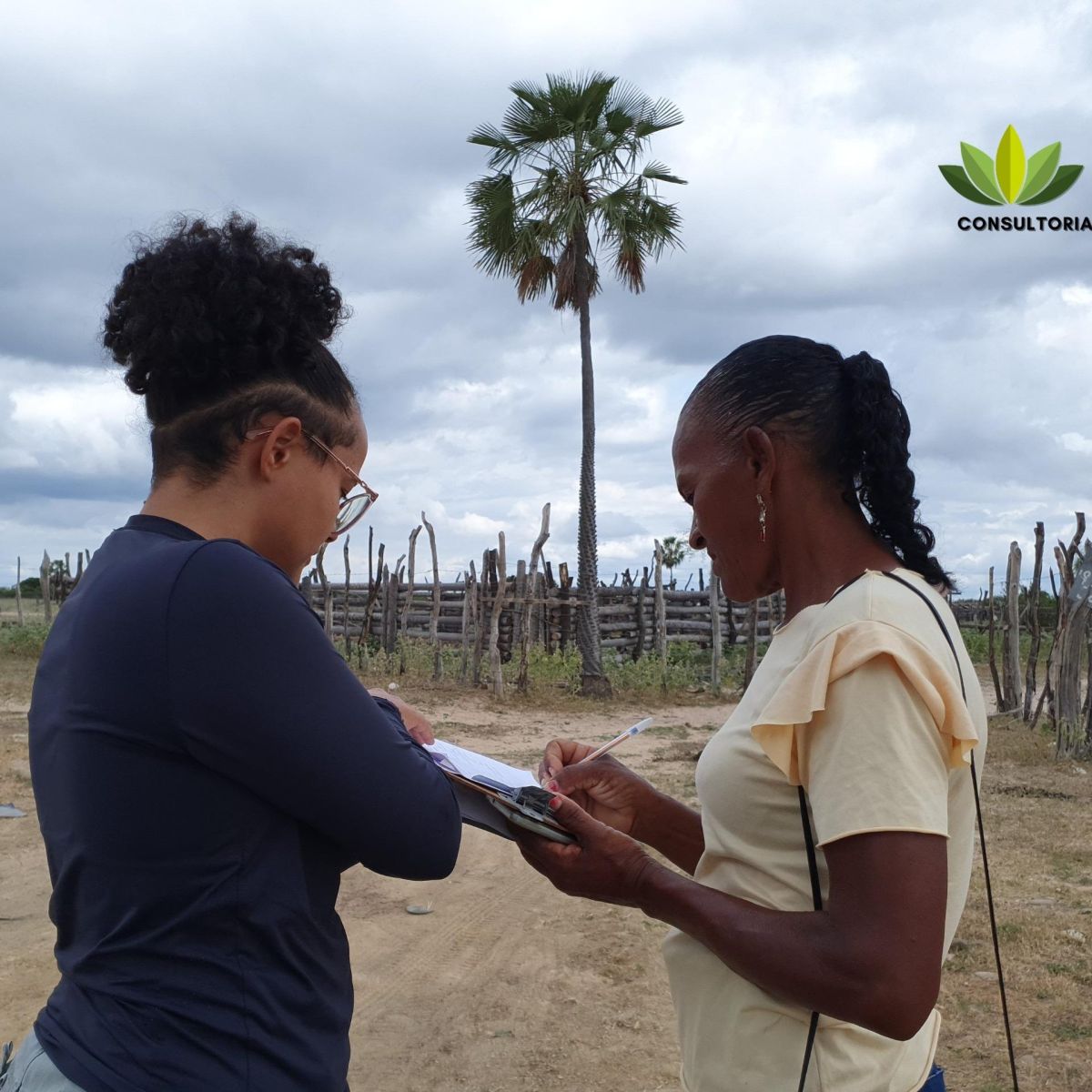 Diagnósticos Socioambientais