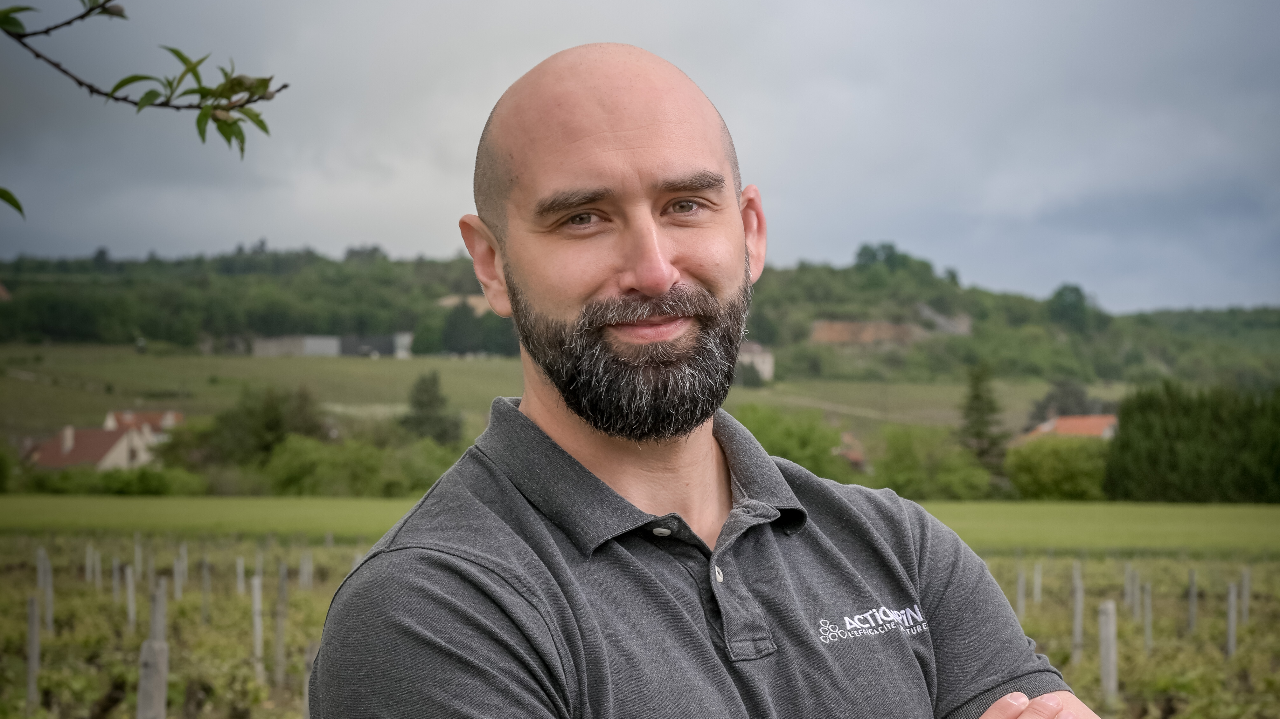 La robustesse de la synergie Héliosoufre et Héliocuivre contre les maladies du feuillage en vigne (Oïdium, Mildiou, Blackrot)