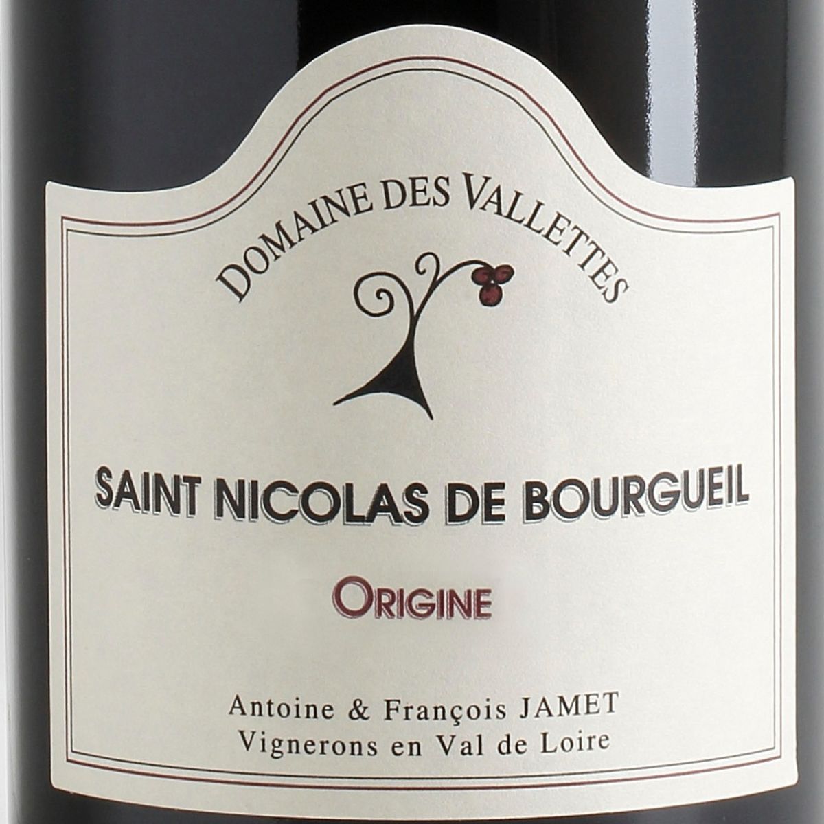 Domaine des Vallettes - Saint Nicolas de Bourgueil - Origine