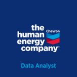 Data Analyst