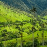 Colombia Honeymoon Trip