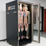 Digihuman HD Tomography 3D Printing Model ECDH-Int DP