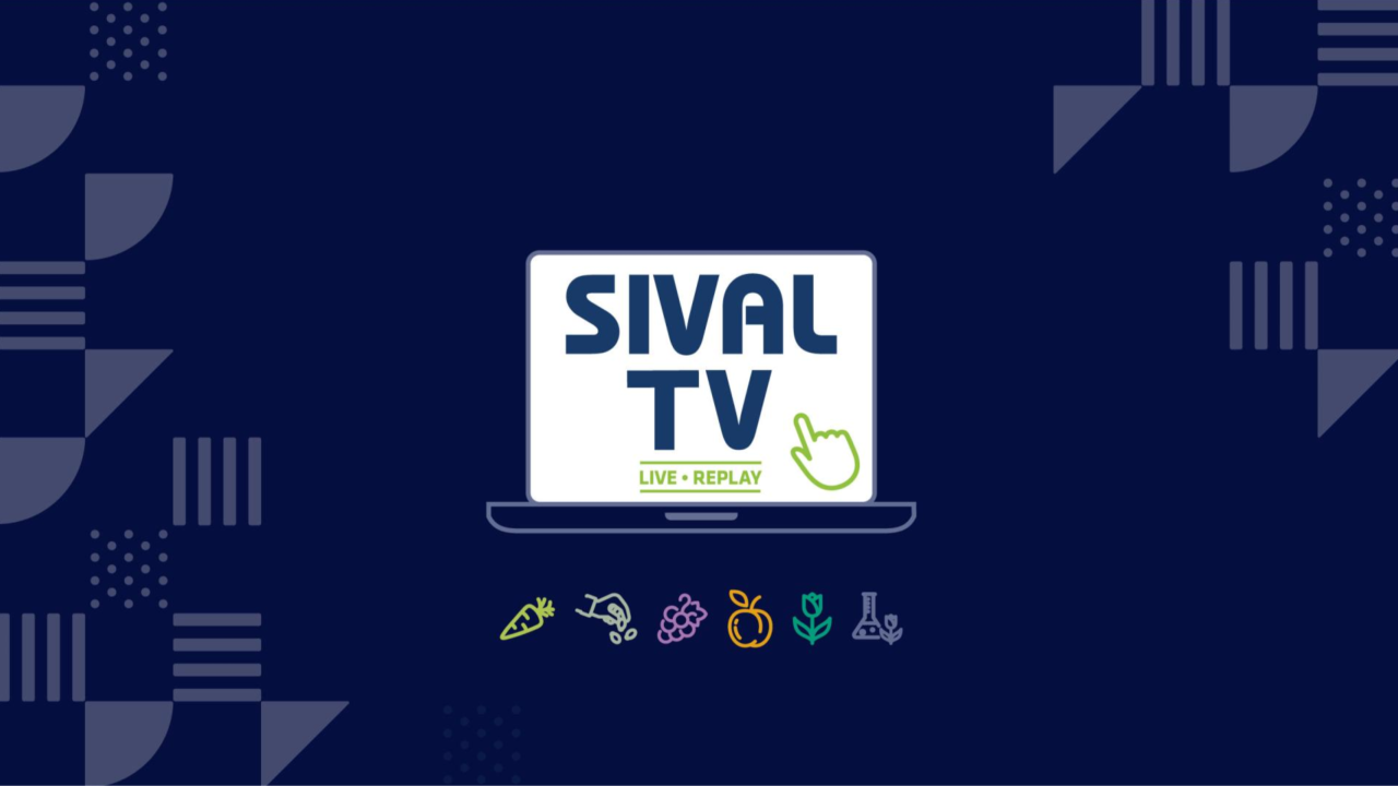 SIVAL TV - Mardi 13 janvier 2026