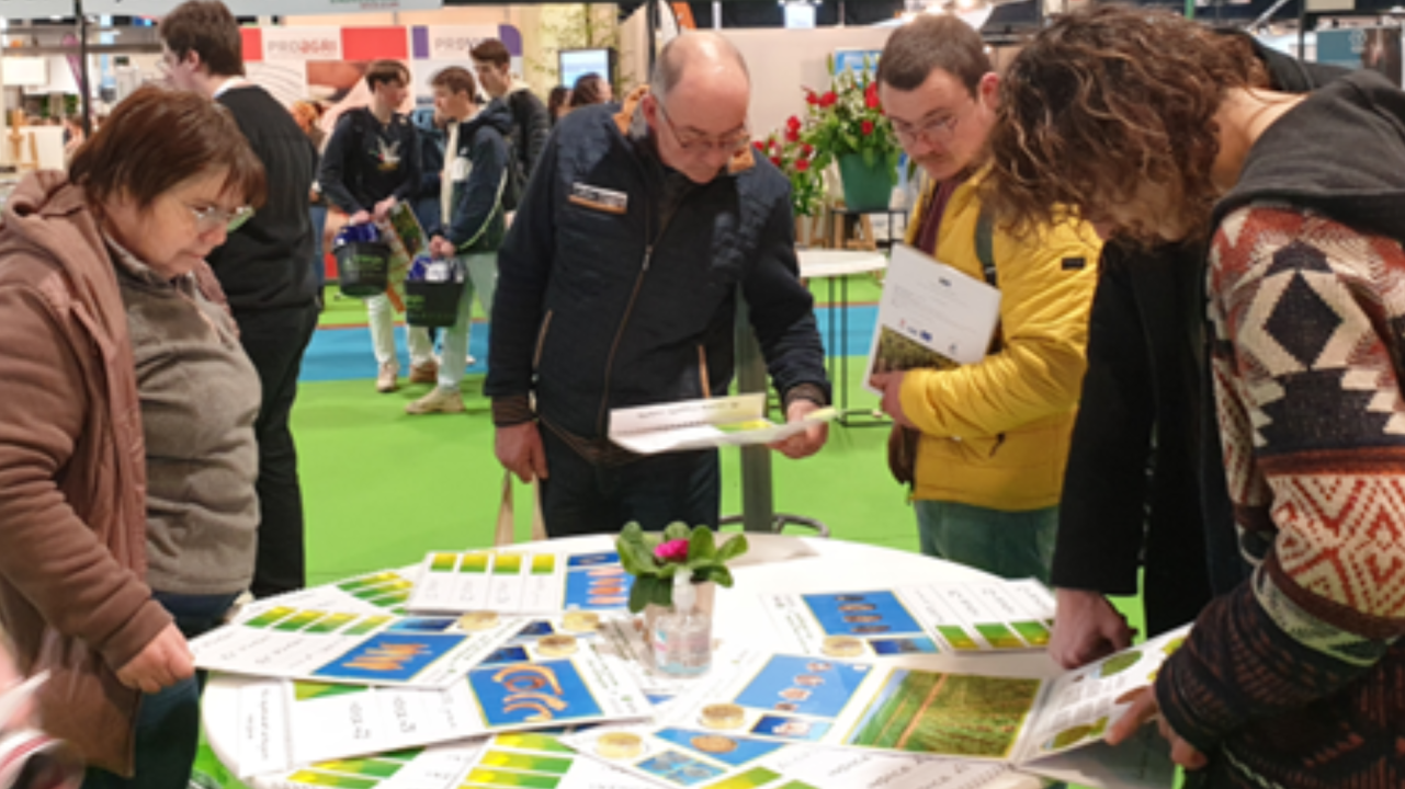 Etes-vous une graine de champion ? ou se tester pour identifier des semences