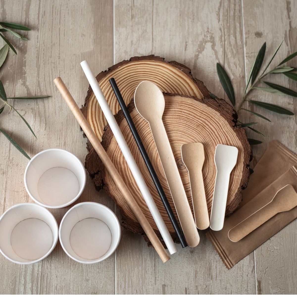 ACCESSORIES: Paper straws 100% biodegradable and Paper spoons 100% biodegradable