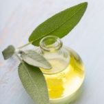 Cognivia : The Vegetal Nootropic