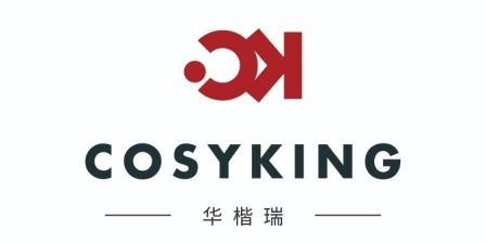 Foshan Cosyking Furniture Technology