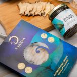 Abalone (Haliotidae family)